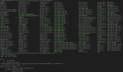 kernel-bpf-examples